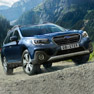 Новая звезда плеяды Subaru