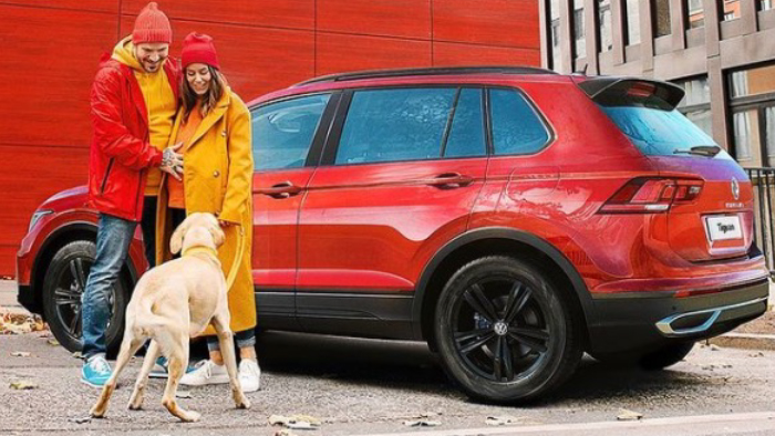 Volkswagen Pets